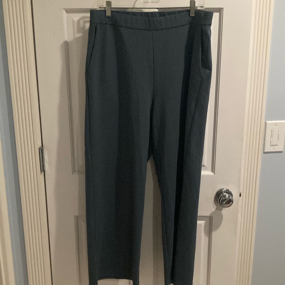Eileen Fisher elastic pant L